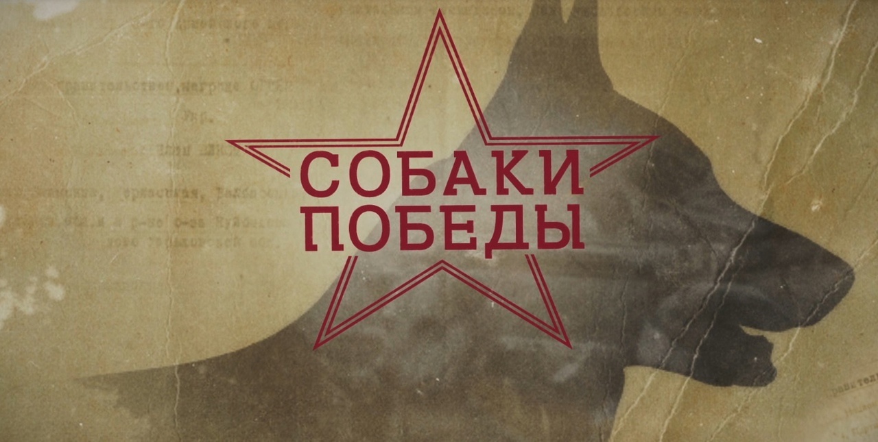 Районная акция &amp;quot;Дай лапу&amp;quot;.